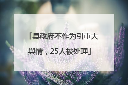 县政府不作为引重大舆情，25人被处理