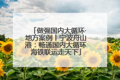 做强国内大循环·地方案例丨宁波舟山港：畅通国内大循环海铁联运走天下