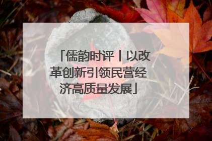 儒韵时评丨以改革创新引领民营经济高质量发展