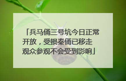 兵马俑三号坑今日正常开放，受损秦俑已移走 观众参观不会受到影响