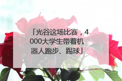 光谷这场比赛，4000大学生带着机器人跑步、踢球