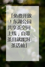 免费开放！东湖公园共享茶空间上线，自带茶具就能泡茶话仙