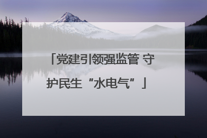 党建引领强监管 守护民生“水电气”