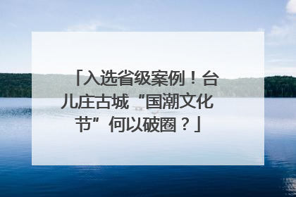 入选省级案例！台儿庄古城“国潮文化节”何以破圈？
