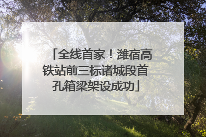 全线首家！潍宿高铁站前三标诸城段首孔箱梁架设成功