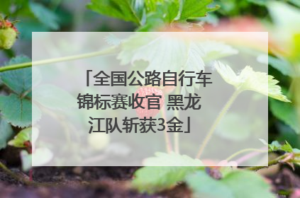 全国公路自行车锦标赛收官 黑龙江队斩获3金