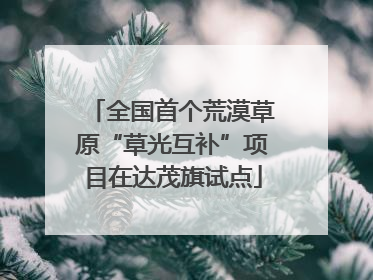 全国首个荒漠草原“草光互补”项目在达茂旗试点