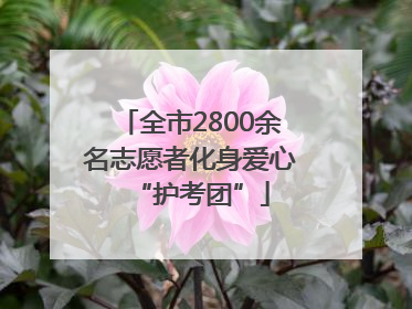 全市2800余名志愿者化身爱心“护考团”