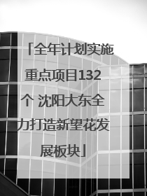 全年计划实施重点项目132个 沈阳大东全力打造新望花发展板块
