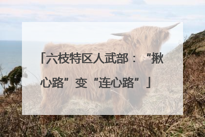 六枝特区人武部：“揪心路”变“连心路”