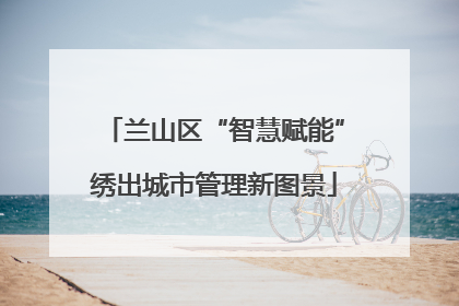 兰山区“智慧赋能”绣出城市管理新图景