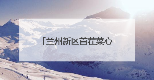 兰州新区首茬菜心直供粤港澳大湾区