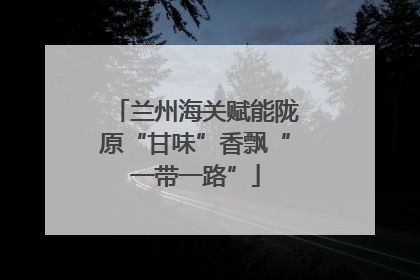 兰州海关赋能陇原“甘味”香飘“一带一路”