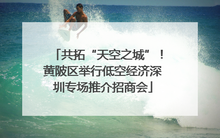 共拓“天空之城”！黄陂区举行低空经济深圳专场推介招商会