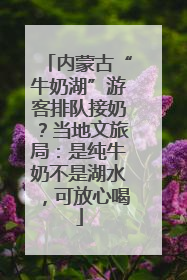 内蒙古“牛奶湖”游客排队接奶？当地文旅局：是纯牛奶不是湖水，可放心喝