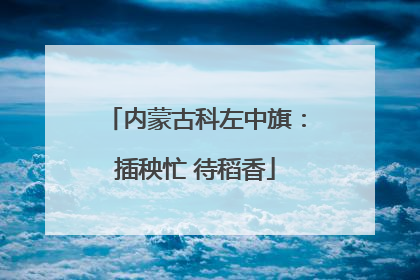 内蒙古科左中旗：插秧忙 待稻香