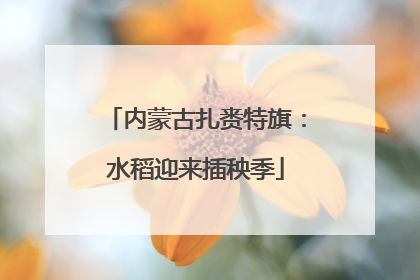 内蒙古扎赉特旗：水稻迎来插秧季