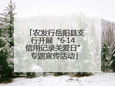 农发行岳阳县支行开展“6·14信用记录关爱日” 专题宣传活动
