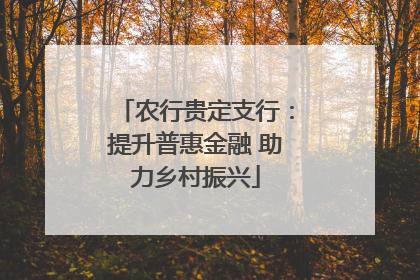 农行贵定支行：提升普惠金融 助力乡村振兴
