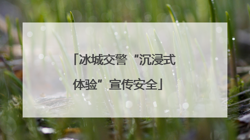 冰城交警“沉浸式体验”宣传安全