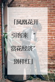 凤凰花开引客来 “赏花经济”别样红