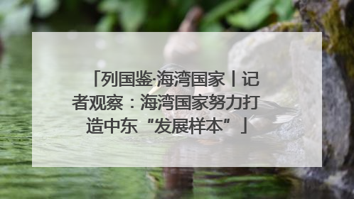 列国鉴·海湾国家丨记者观察：海湾国家努力打造中东“发展样本”