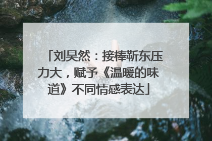 刘昊然：接棒靳东压力大，赋予《温暖的味道》不同情感表达