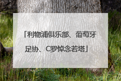 利物浦俱乐部、葡萄牙足协、C罗悼念若塔