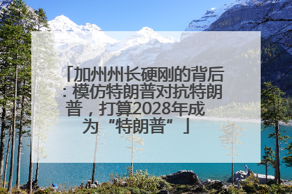 加州州长硬刚的背后：模仿特朗普对抗特朗普，打算2028年成为“特朗普”