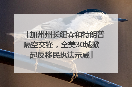 加州州长纽森和特朗普隔空交锋，全美30城掀起反移民执法示威
