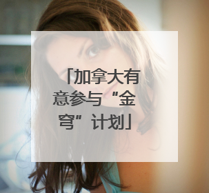 加拿大有意参与“金穹”计划