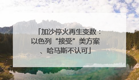 加沙停火再生变数：以色列“接受”美方案、哈马斯不认可