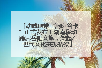 动感地带“洞庭谷卡”正式发布！湖南移动跨界岳阳文旅，架起Z世代文化共振桥梁