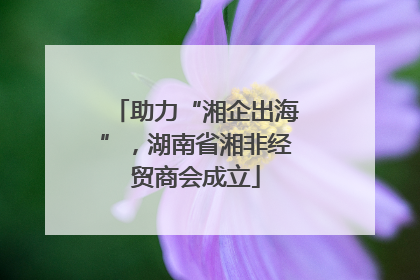 助力“湘企出海”，湖南省湘非经贸商会成立