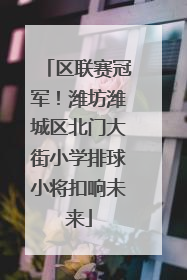 区联赛冠军！潍坊潍城区北门大街小学排球小将扣响未来
