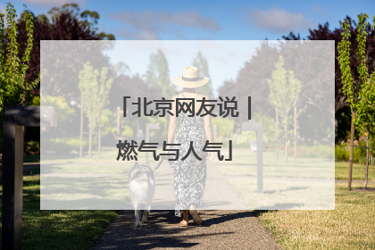北京网友说｜燃气与人气