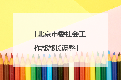 北京市委社会工作部部长调整