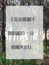 北京援疆干部韩殿臣：京情暖和田