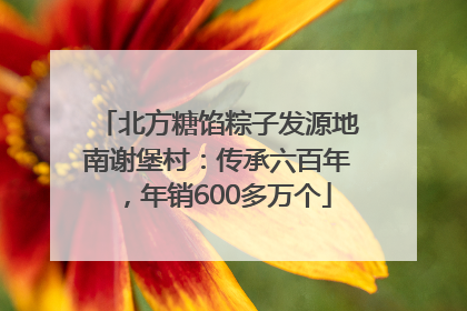 北方糖馅粽子发源地南谢堡村：传承六百年，年销600多万个