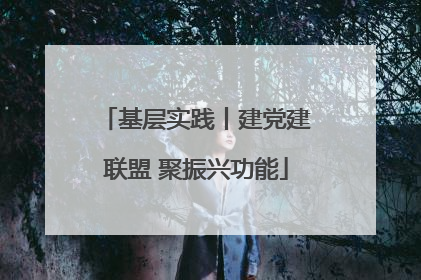 基层实践丨建党建联盟 聚振兴功能