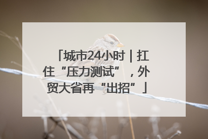 城市24小时｜扛住“压力测试”，外贸大省再“出招”