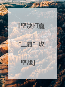 坚决打赢“三夏”攻坚战