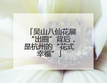 吴山八仙花展“出圈”背后，是杭州的“花式幸福”