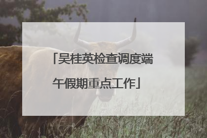 吴桂英检查调度端午假期重点工作