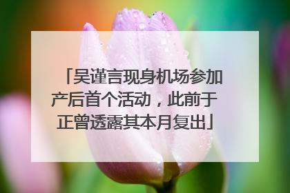 吴谨言现身机场参加产后首个活动，此前于正曾透露其本月复出