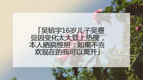 吴镇宇16岁儿子吴费曼因变化太大登上热搜，本人晒搞怪照：如果不喜欢现在的我可以离开