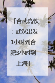 合武高铁：武汉出发1小时到合肥3小时到上海
