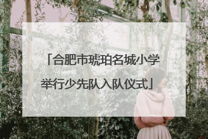 合肥市琥珀名城小学举行少先队入队仪式