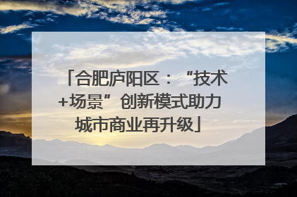 合肥庐阳区：“技术+场景”创新模式助力城市商业再升级