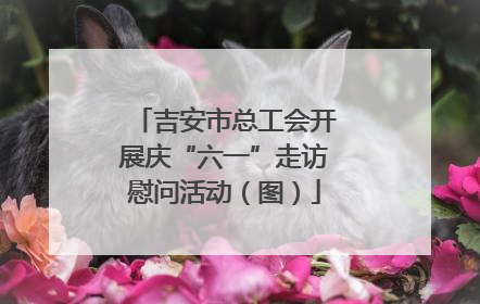 吉安市总工会开展庆“六一”走访慰问活动（图）